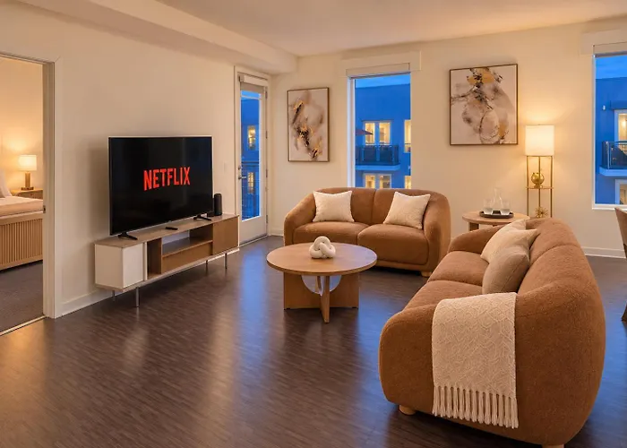 Modern Apartment Rentals